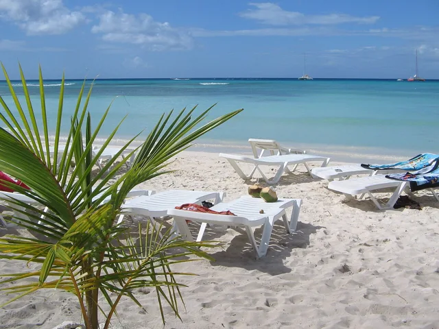Beach loungers overlooking turquoise water on Saona Island